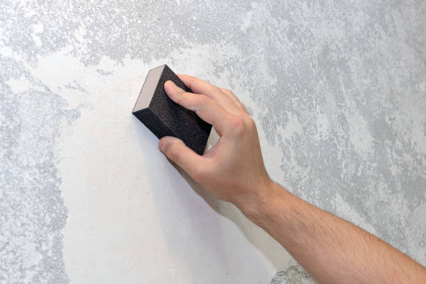 Best Mold Prevention Services  in Sanford, FL