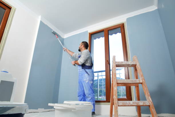 Best Black Mold Removal  in Sanford, FL